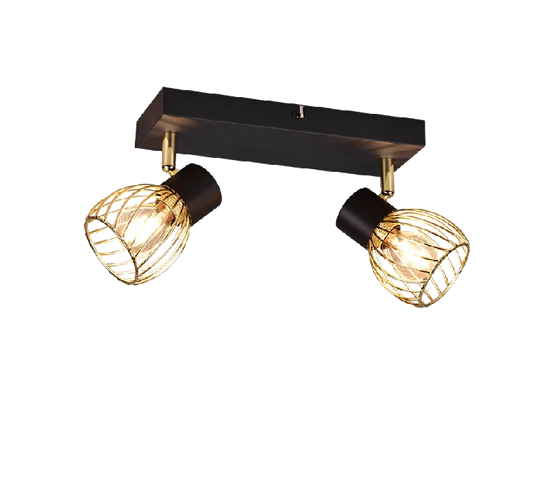 Ardon 2/3Lt Bar Spotlight - Black & Gold