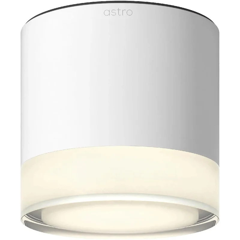 Ottawa Downlight Ceiling Light