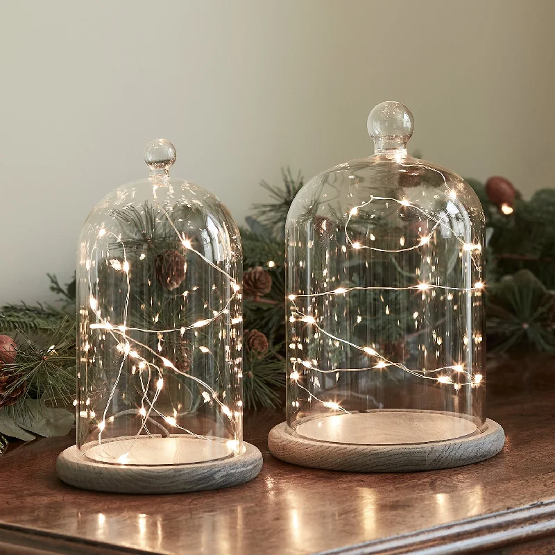 String Lights with Multicolored Bulbs for Festive Occasions20.5 & 23cm Glass Dome Bell Jar Micro Fairy Light Bundle