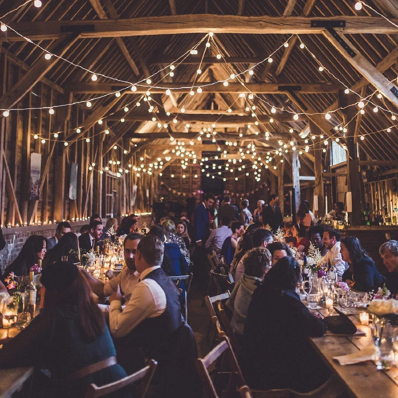 String Lights with Multicolored Bulbs for Festive OccasionsPro Connect 30m 60 Warm White Connectable Festoon Lights White Cable