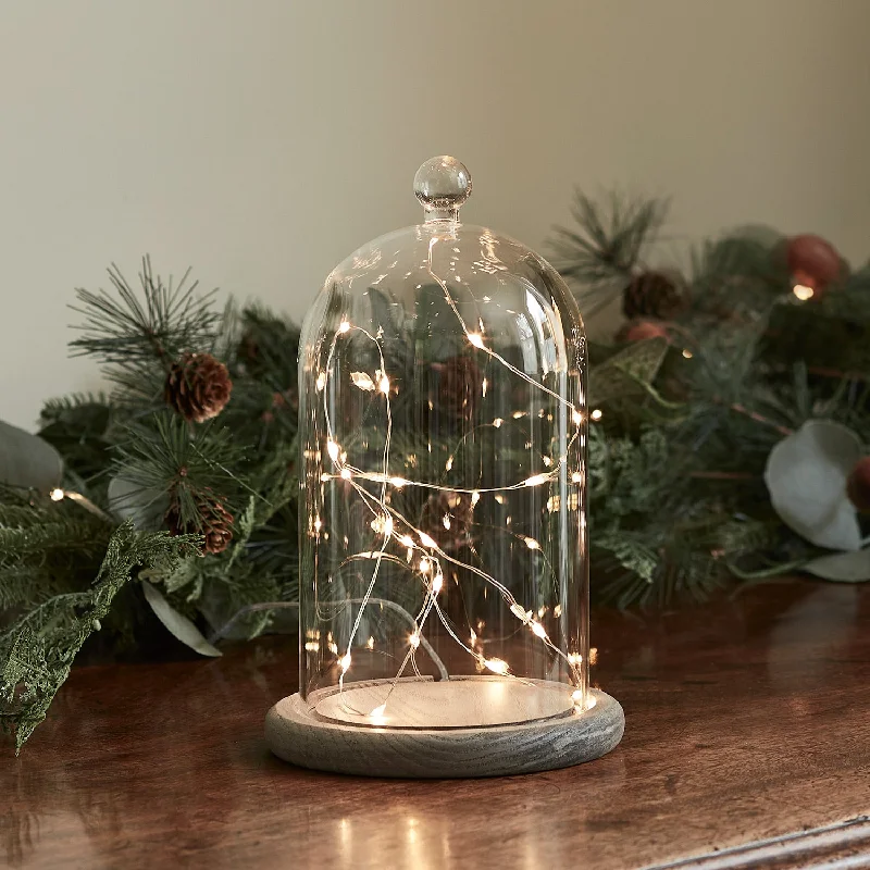 String Lights for Seasonal Decorations (Spring, Fall, etc.)20.5cm Glass Dome Bell Jar Micro Fairy Light Bundle