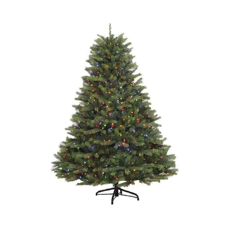 String Lights with Edison Bulbs for Rustic AmbianceLenox Fir Dual-Function LED Lights 6.5 Ft.