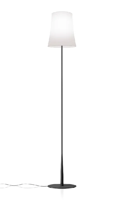 Wood Floor Lamp with Natural Grain for a Warm and Organic FeelFoscarini Birdie Easy Floor Lamp