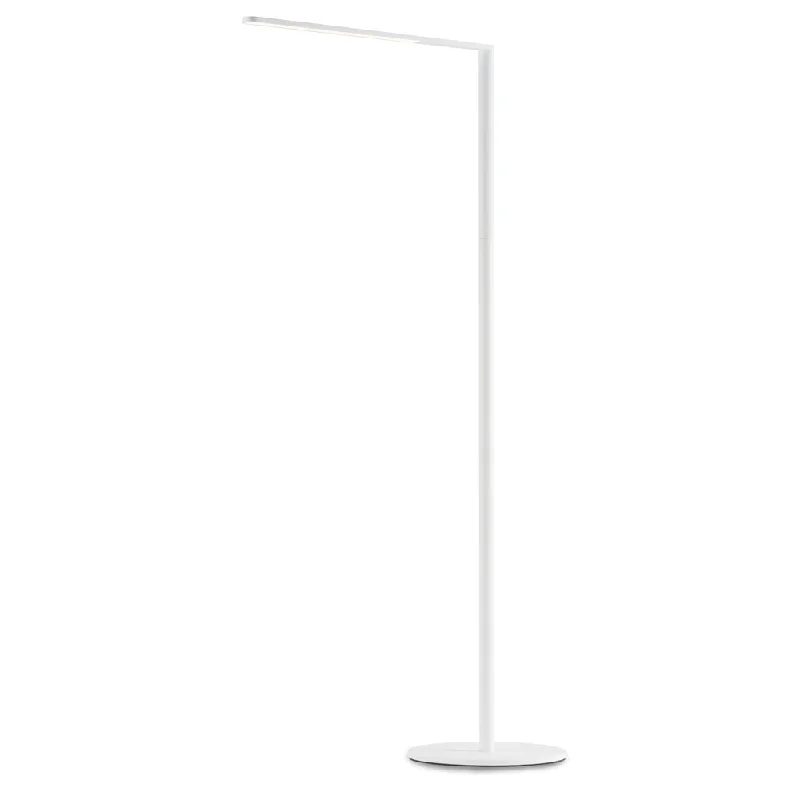 Metal Floor Lamp with a Matte Black Finish for a Sleek LookLady7 Floor Lamp