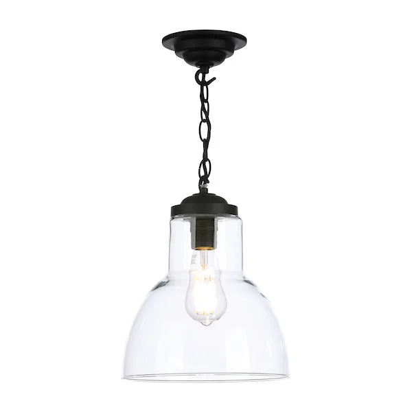Rustic Ceiling Lights with Reclaimed Wood and Distressed FinishesDavid Hunt Upton Small Black Pendant with Clear Glass