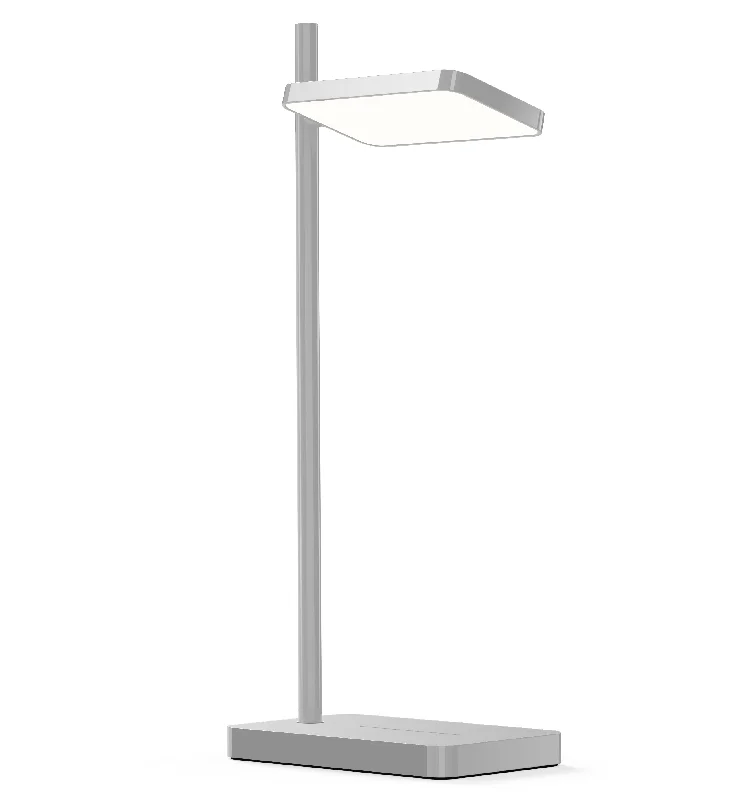 industrial style table lamps with exposed bulbs for loft apartmentsPablo Designs Talia Modern Grey Task Lamp