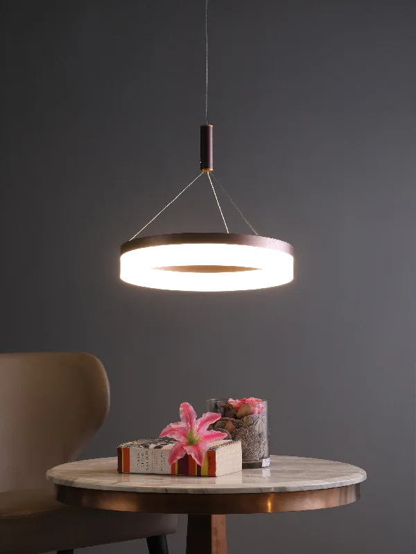 Contemporary Ceiling Lights with Unique, Abstract ShapesRinglo 24W Pendant Light